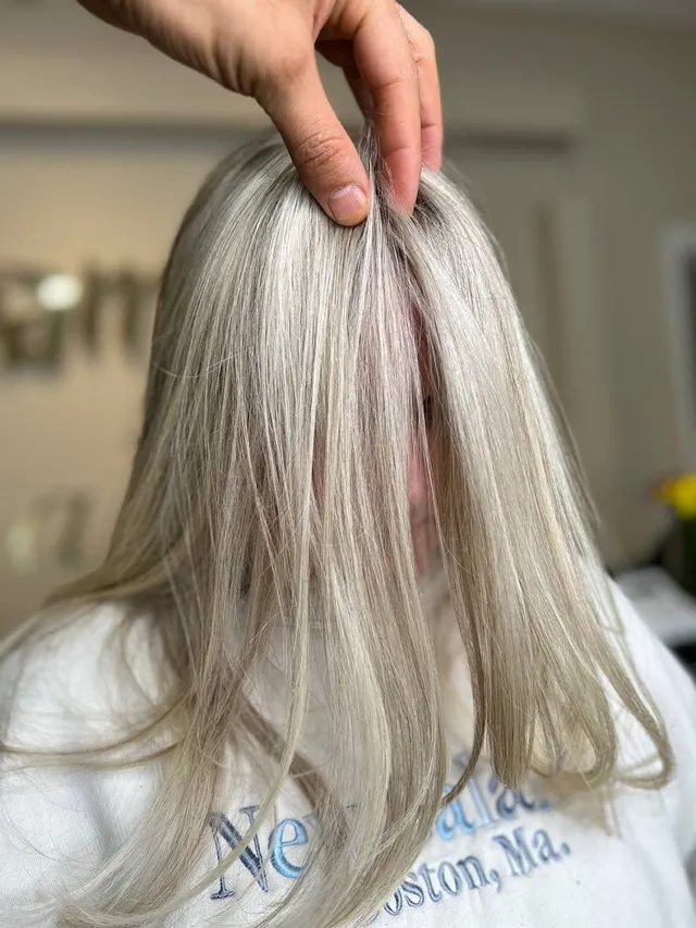 Ash-blonde lengths held up to show the colour blend